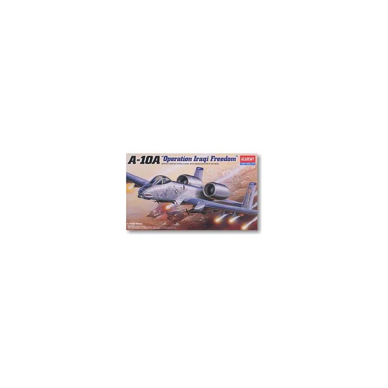 A-10A OPERAT.IRAQI FREEDOM