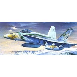 F/A-18C    CHIPPY HO !!  1995