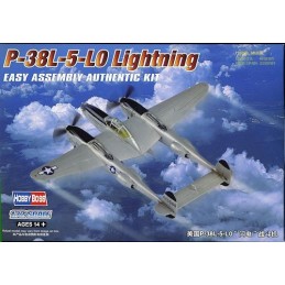 P-38L 5-LO LIGHTING