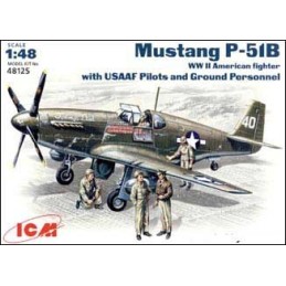 MUSTANG P-51 B WHITH PILOTS