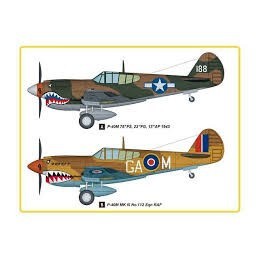 P-40M KITTY HAWK  easy...