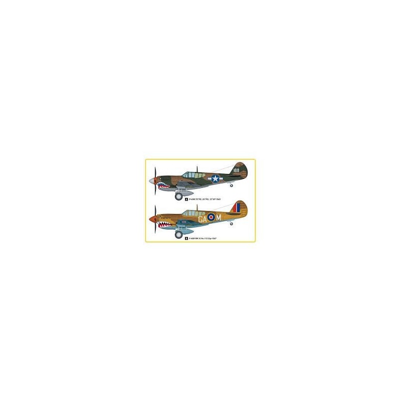P-40M KITTY HAWK  easy assembly