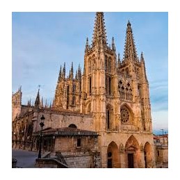 CATEDRAL DE BURGOS 190 PIEZAS