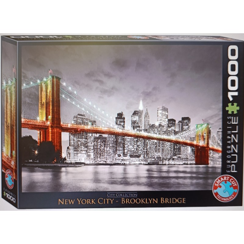 NEW YORK CITY BROOKLYN BRIDGE