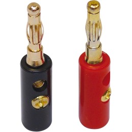 BANANA ORO CONECTOR SLOT DS...