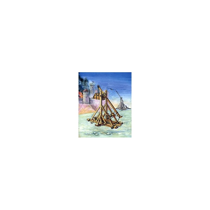 MEDIEVAL SIEGE ENGINE TREBUCHET